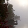 Foggy Sunrise
